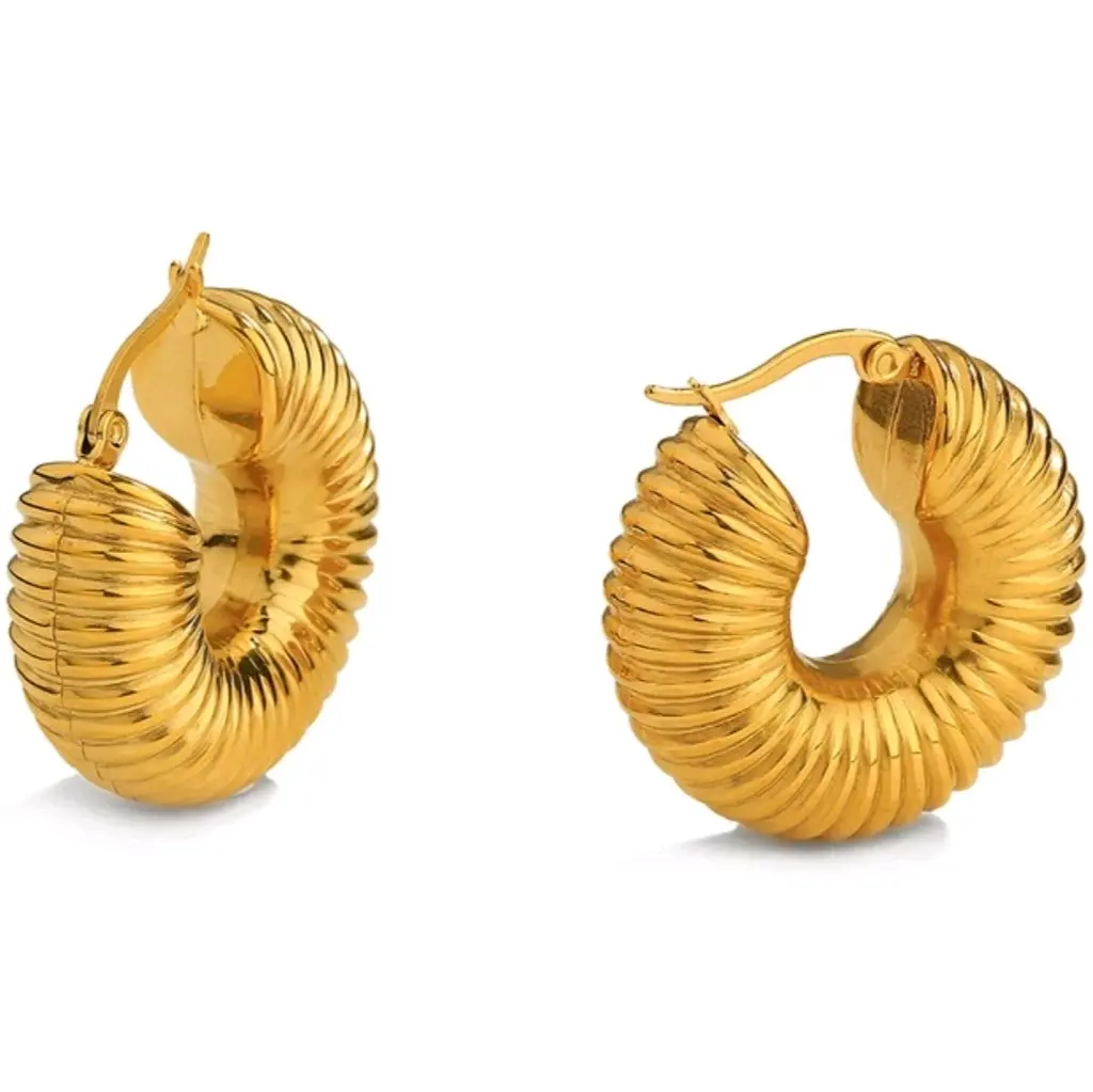 Gold Hoop Earrings